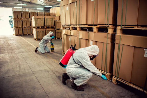 Best Residential Pest Control  in Shadeland, IN