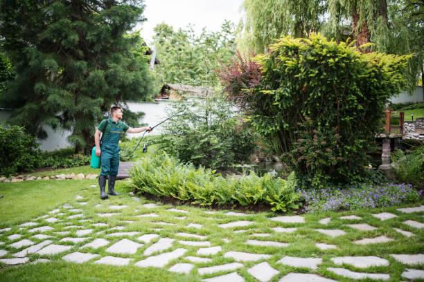 Best Mosquito Control Services  in Shadeland, IN