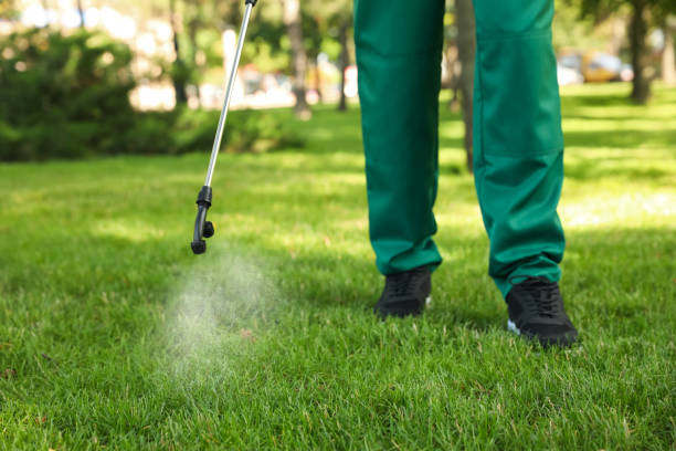 Best Termite Control Services  in Shadeland, IN