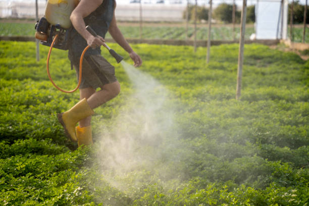 Best Affordable Pest Control Services  in Shadeland, IN