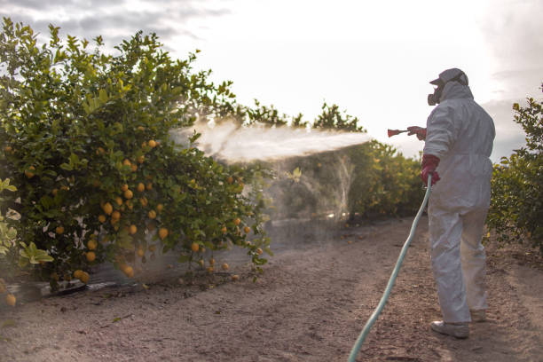 Best Pest Inspection Near Me  in Shadeland, IN